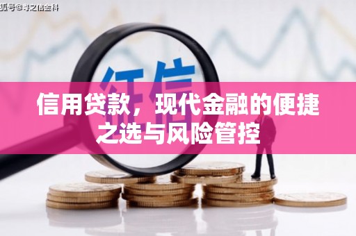 城东信用贷款，现代金融的便捷之选与风险管控