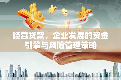 城东经营贷款，企业发展的资金引擎与风险管理策略