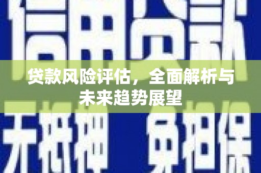 城东贷款风险评估，全面解析与未来趋势展望