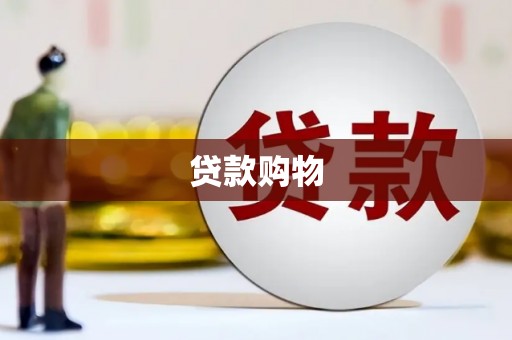城东贷款购物