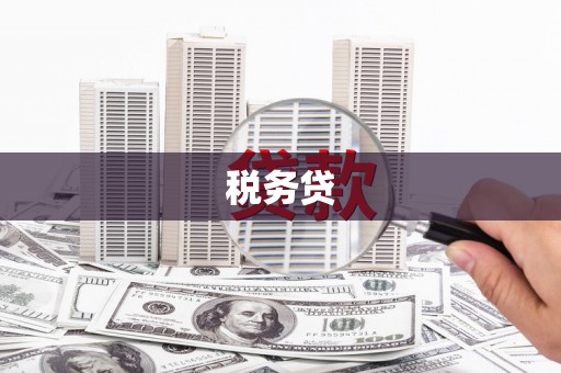 城东税务贷