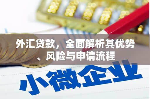 城东外汇贷款，全面解析其优势、风险与申请流程