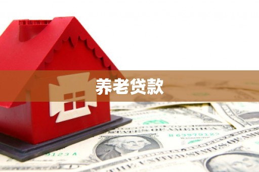 城东养老贷款