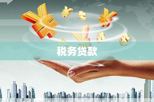 城东税务贷款