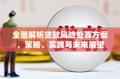 城东全面解析贷款风险处置方案，策略、实践与未来展望