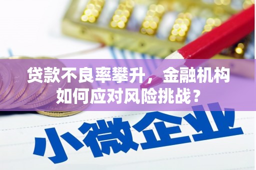 城东贷款不良率攀升，金融机构如何应对风险挑战？
