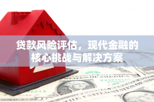 城东贷款风险评估，现代金融的核心挑战与解决方案