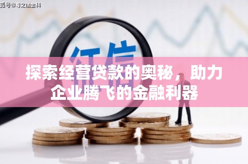 城东探索经营贷款的奥秘，助力企业腾飞的金融利器