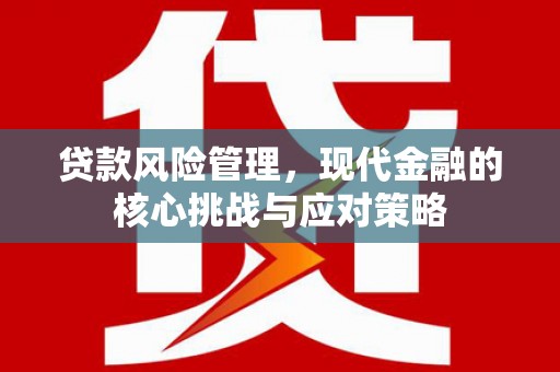 城东贷款风险管理，现代金融的核心挑战与应对策略
