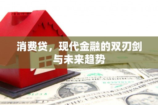 城东消费贷，现代金融的双刃剑与未来趋势