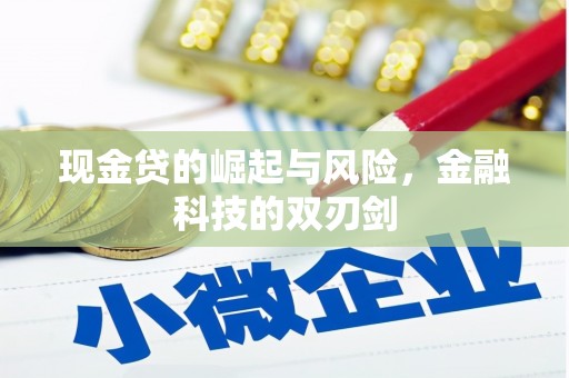 城东现金贷的崛起与风险，金融科技的双刃剑