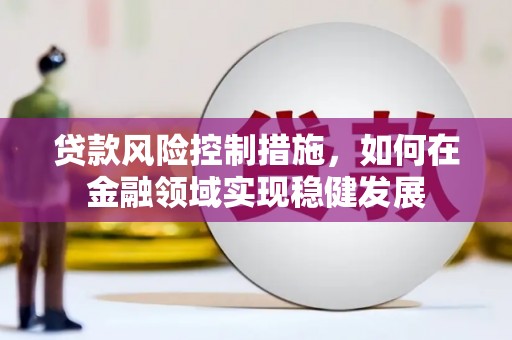 城东贷款风险控制措施，如何在金融领域实现稳健发展