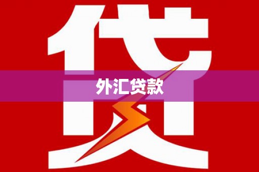 城东外汇贷款