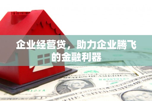 城东企业经营贷，助力企业腾飞的金融利器