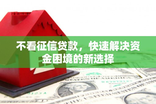 城东不看征信贷款，快速解决资金困境的新选择