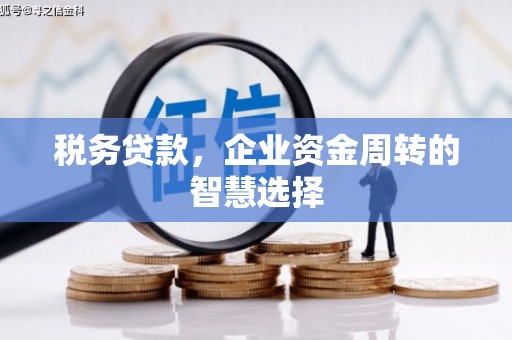 城东税务贷款，企业资金周转的智慧选择