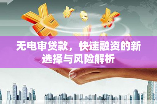 城东无电审贷款，快速融资的新选择与风险解析