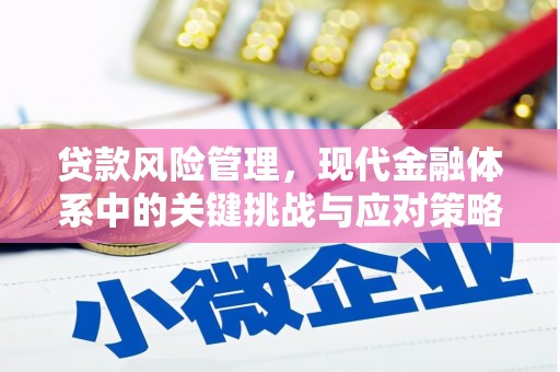 城东贷款风险管理，现代金融体系中的关键挑战与应对策略