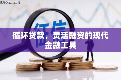 城东循环贷款，灵活融资的现代金融工具