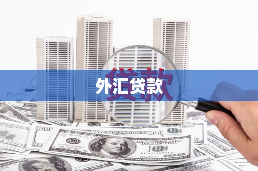 城东外汇贷款