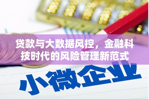 城东贷款与大数据风控，金融科技时代的风险管理新范式