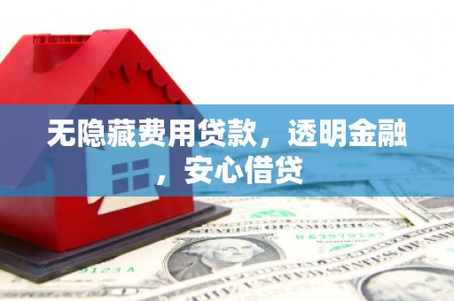 城东无隐藏费用贷款，透明金融，安心借贷