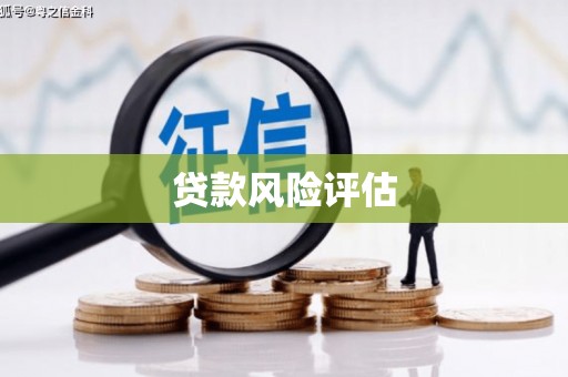 城东贷款风险评估