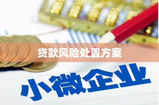 城东贷款风险处置方案