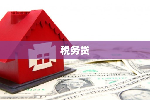 城东税务贷