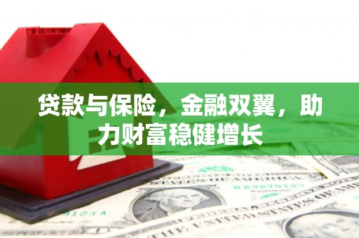 城东贷款与保险，金融双翼，助力财富稳健增长
