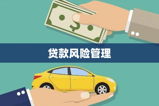 城东贷款风险管理