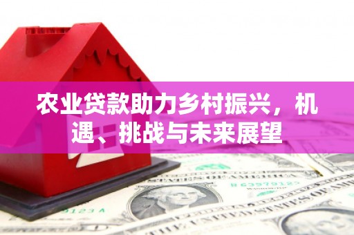 城东农业贷款助力乡村振兴，机遇、挑战与未来展望