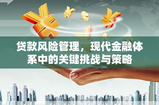 城东贷款风险管理，现代金融体系中的关键挑战与策略