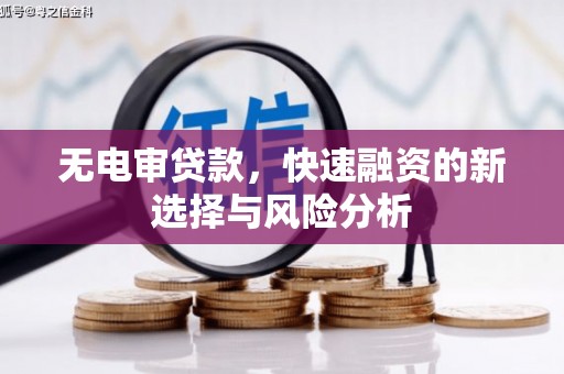 城东无电审贷款，快速融资的新选择与风险分析
