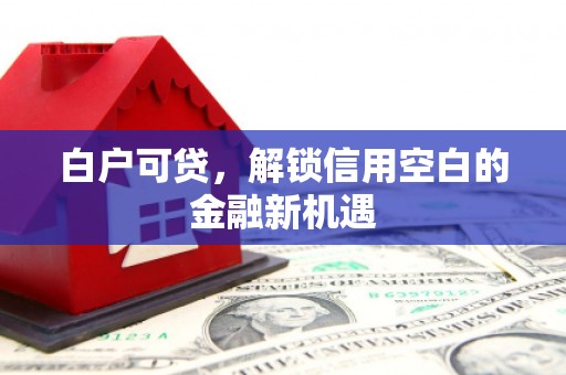 城东白户可贷，解锁信用空白的金融新机遇