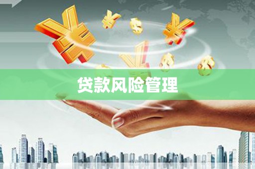 城东贷款风险管理