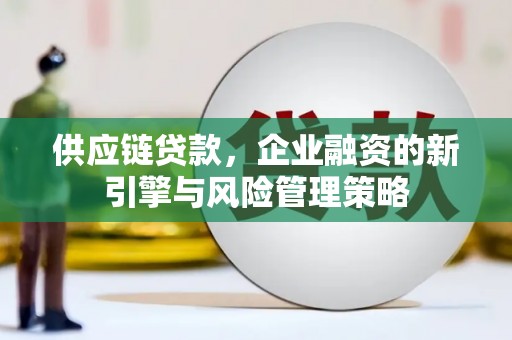 城东供应链贷款，企业融资的新引擎与风险管理策略