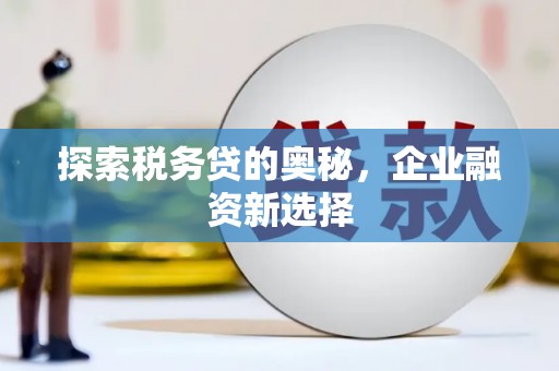 城东探索税务贷的奥秘，企业融资新选择
