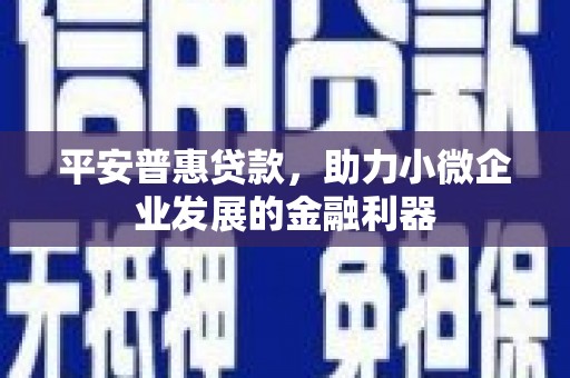 城东平安普惠贷款，助力小微企业发展的金融利器