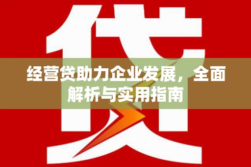城东经营贷助力企业发展，全面解析与实用指南