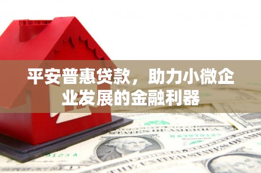 城东平安普惠贷款，助力小微企业发展的金融利器