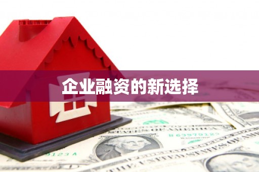 城东企业融资的新选择