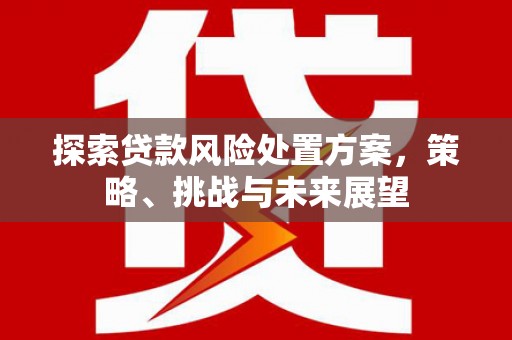 城东探索贷款风险处置方案，策略、挑战与未来展望