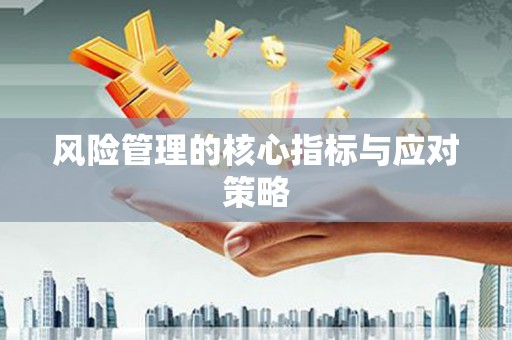 城东风险管理的核心指标与应对策略