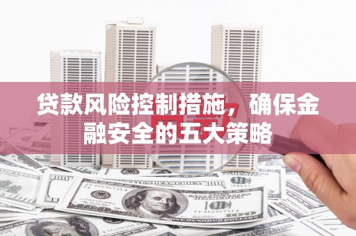 城东贷款风险控制措施，确保金融安全的五大策略
