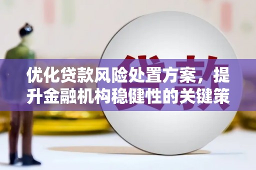 城东优化贷款风险处置方案，提升金融机构稳健性的关键策略