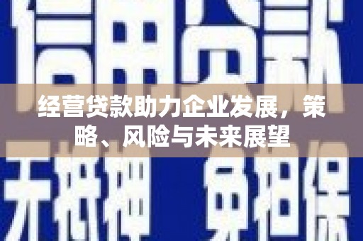城东经营贷款助力企业发展，策略、风险与未来展望