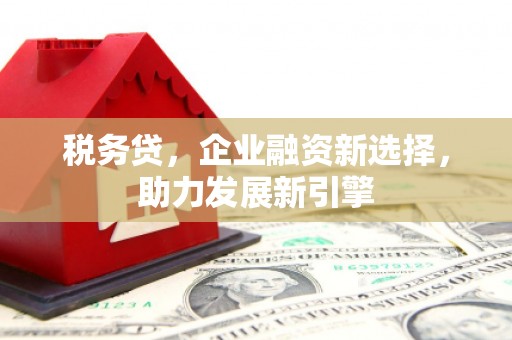 城东税务贷，企业融资新选择，助力发展新引擎