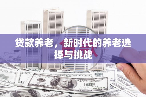 城东贷款养老，新时代的养老选择与挑战