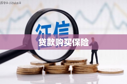 城东贷款购买保险